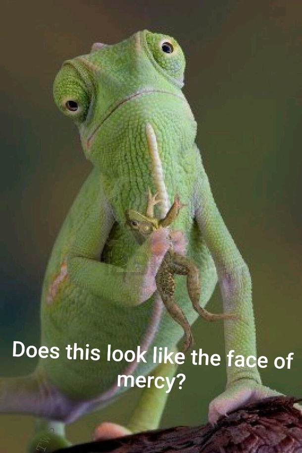 Does this look like the face of mercy