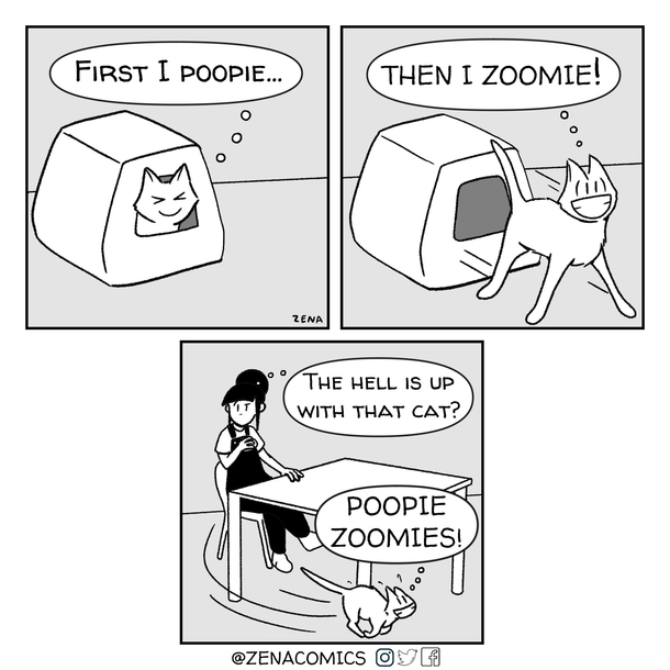 Does your cat do this 