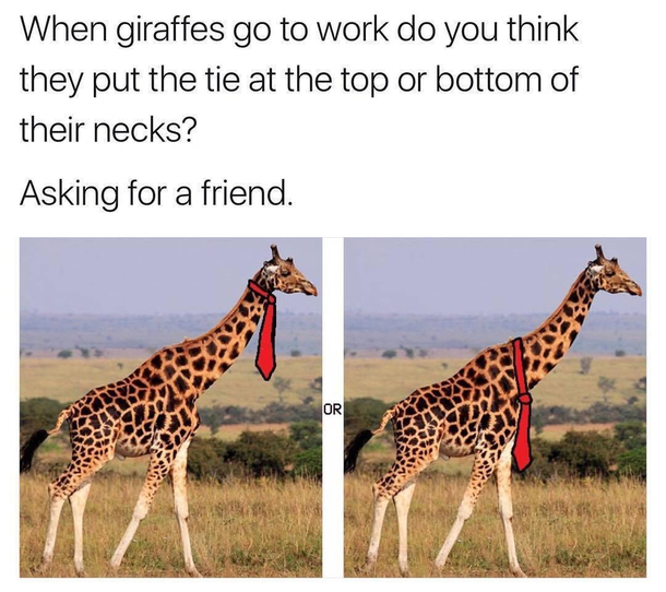 Doesnt anyone has the same question as mine