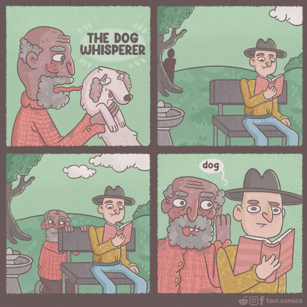 dog 
