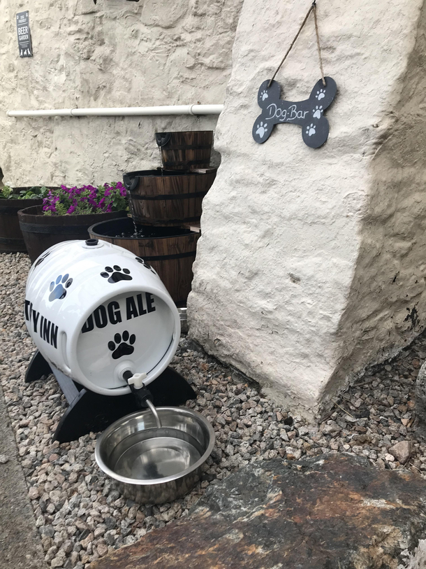 Dog Bar