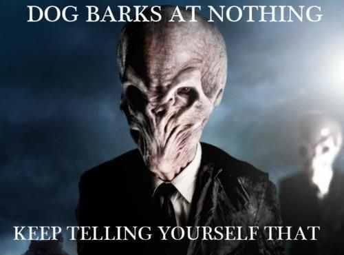 Dog barking at nothing