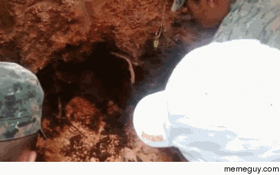 Dog Buried in Landslide that Killed  Saved by Rescuers