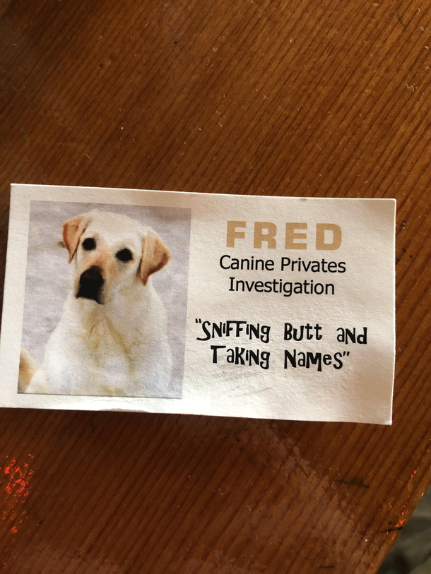 Dog business card - Meme Guy