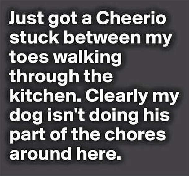 Dog Chores