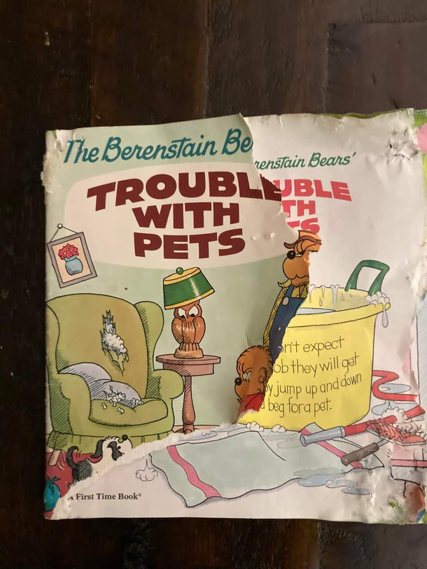 Dog chose an interesting book to eat
