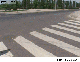 Dog crosses street