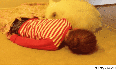 Dog cuddling with kid