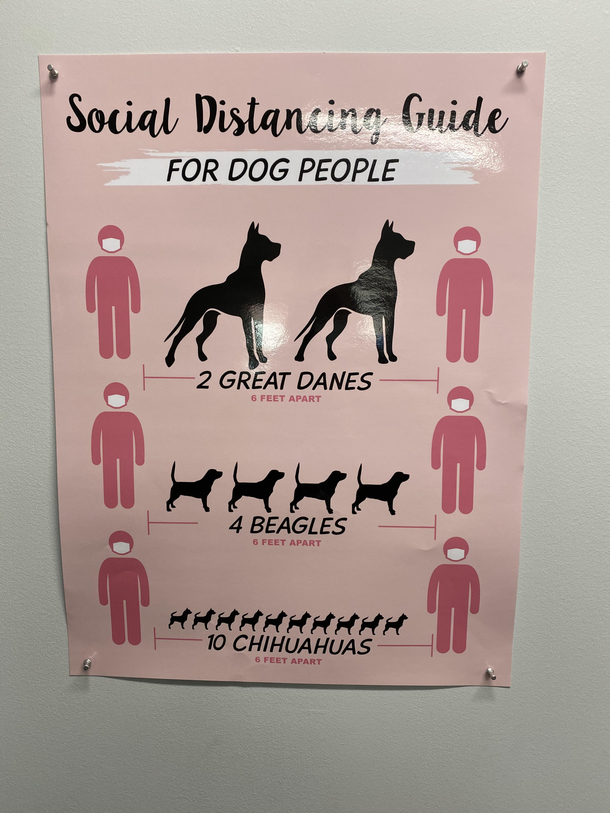 Dog Distancing