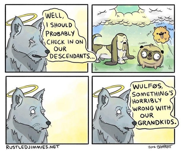 Dog dynasty