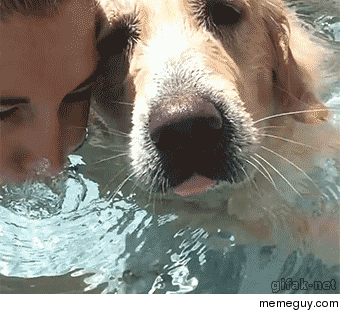 Dog enjoying the pool making bubbles