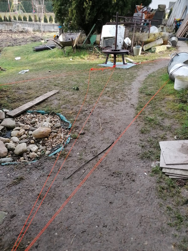 Dog found ball of red string and started running around house