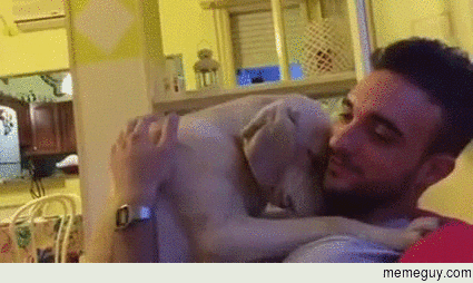 Dog getting scolded apologizes by hugging
