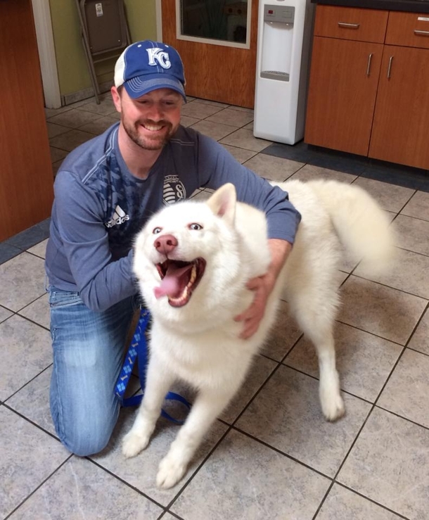 Dog got adopted from the shelter i use to volunteer at I think hes pretty happy