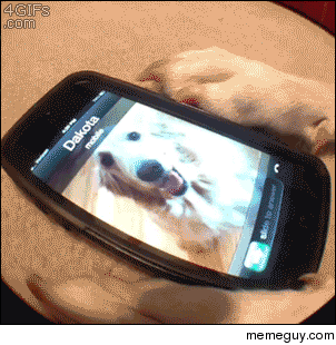 Dog Has a Date