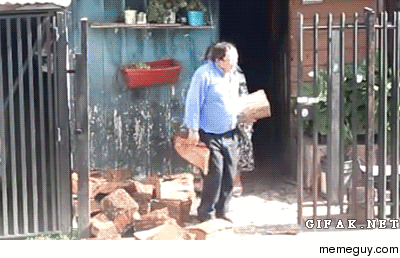 Dog Helps His Humans Bring Firewood Into the House