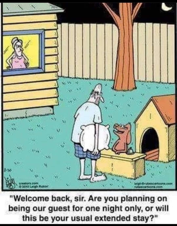 Dog hotel