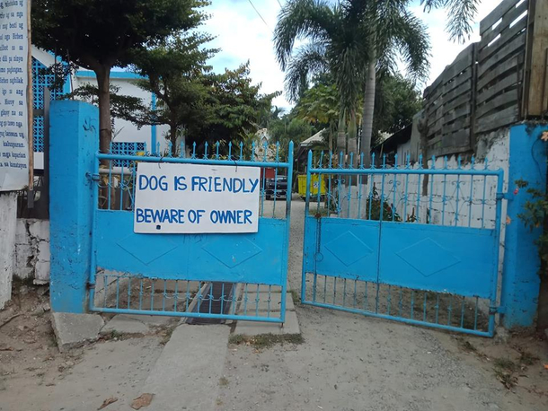 Dog is friendly beware of owner