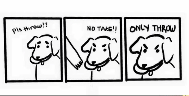 Dog Logic