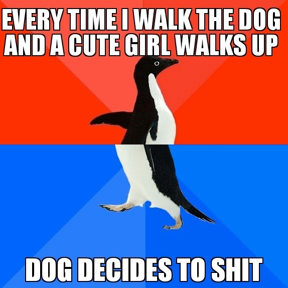 Dog Logic