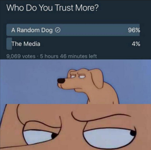Dog or media Write it