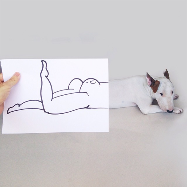 Dog owner creates fun illustrations with his Bull Terrier