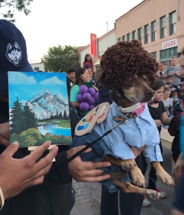 Dog Ross