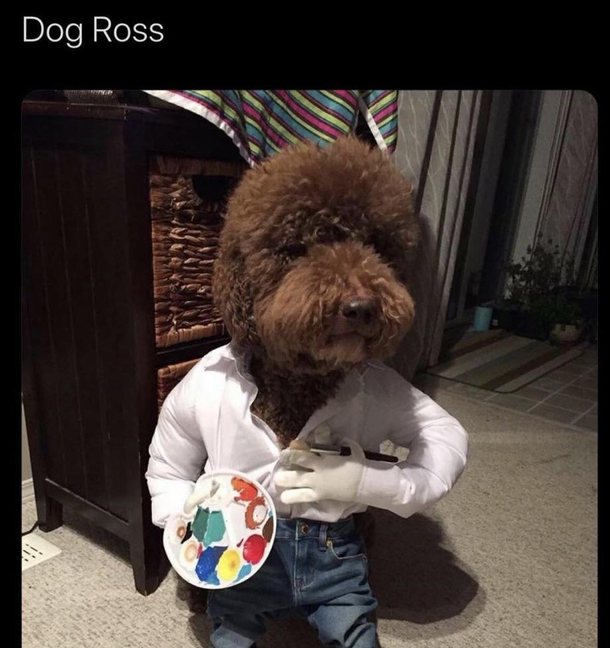 Dog Ross