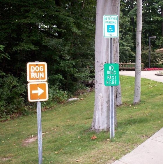 Dog run Dog stop