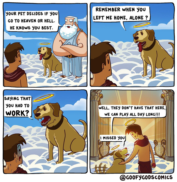 Dog Spelled Backwards Is God Meme Guy