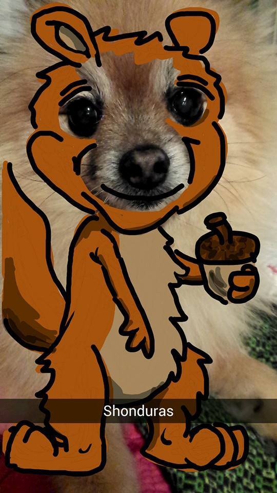 Dog Squirrel