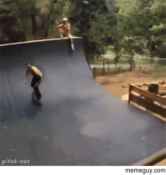 Dog Steals Skateboard Mid Trick