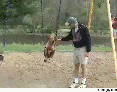 Dog Swinging