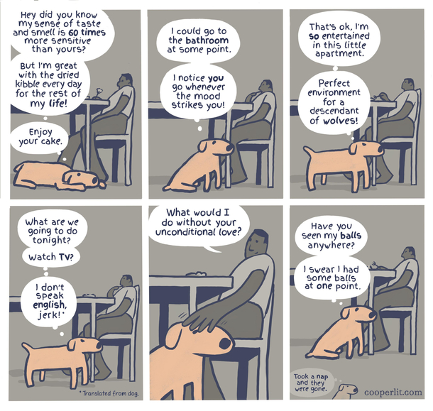 Dog Thoughts