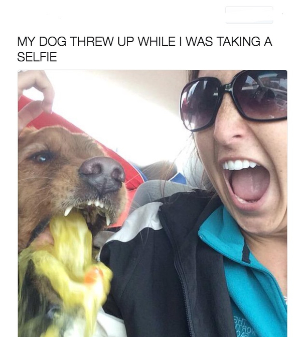 Dog Throw Up