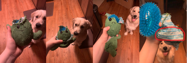 Dog toy is sad underneath C