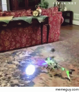 Dog vs Toy helicopter