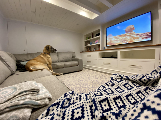 Dog watching show about Sphinx as they discuss its shape origins as a dog