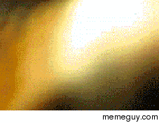 Dog wins in the end