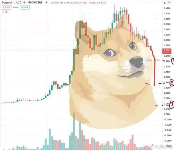 DOGE indeed