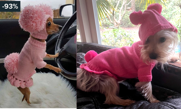 Doggie couture What it looked like online vs reality Penelope is not impressed