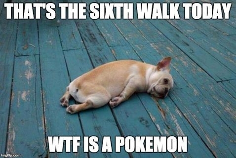 Doggo does the tired
