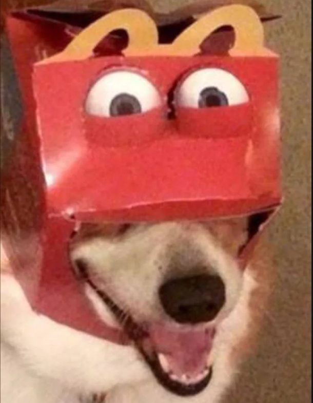 Doggo happy Meal