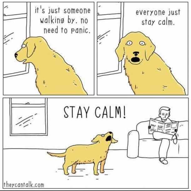 Doggos just want us to feel safe