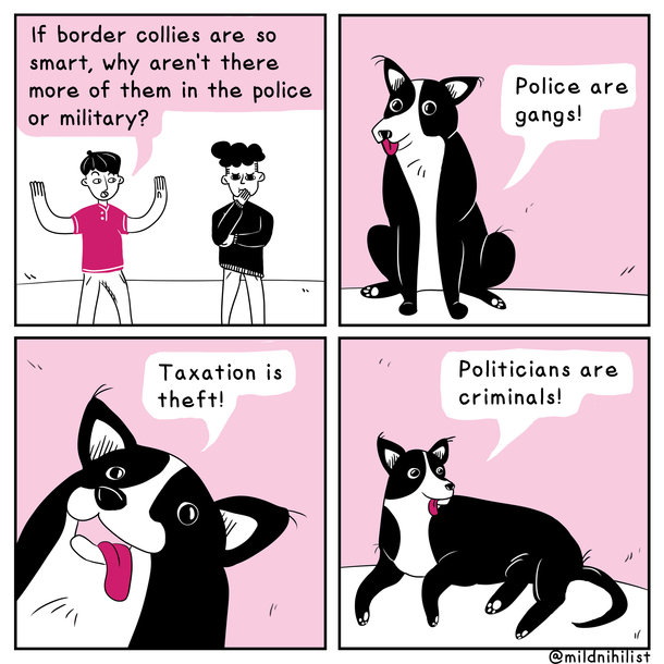 Dogmas and dogpas for anarchy