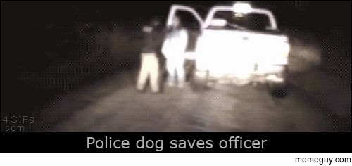 Dogs are better Police officers than people