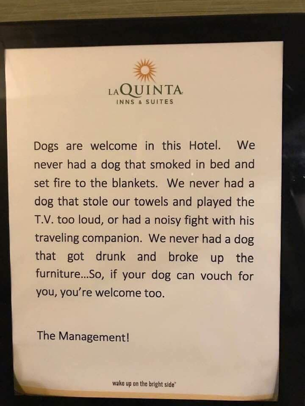Dogs are decent people