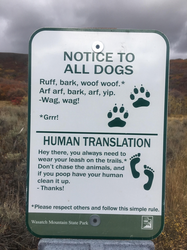 Dogs are more responsible than humans
