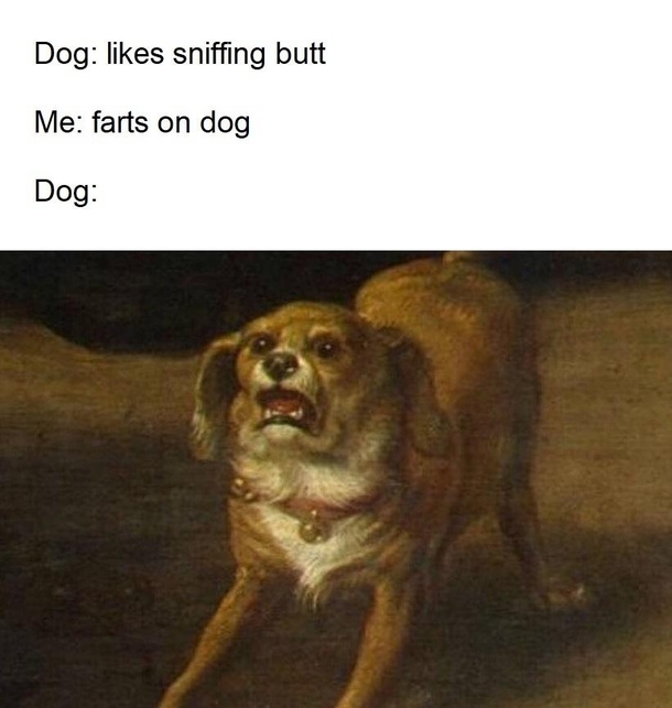 Dogs be like