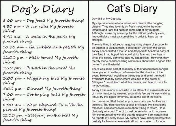 Dogs diary v Cats diary